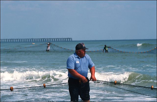 hauling_in_the_nets.jpg