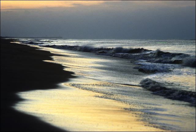 myrtle_sunrise.jpg