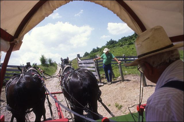 wagon_ride.jpg
