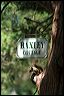 baxley_squirrel