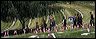 marching_down