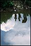 river_reflections