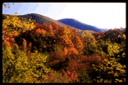 Whitetop Mt. Fall