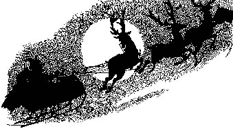 Santa's Sleigh Ride