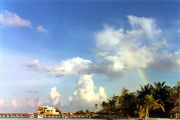 Rainbow over Palm trees