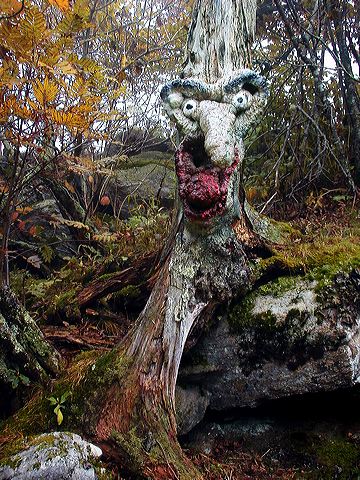 eyes_on_you.jpg